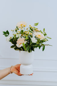 Arya Arrangement