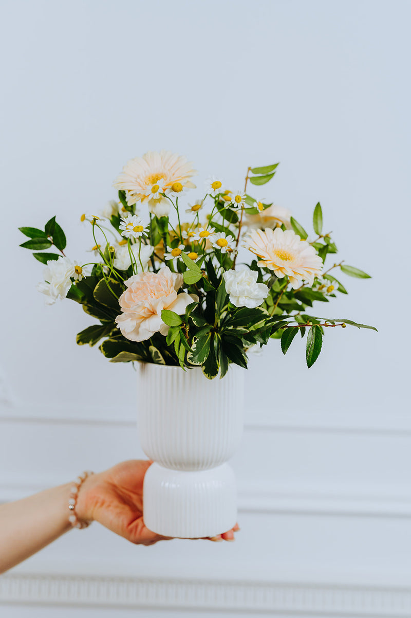 Arya Arrangement