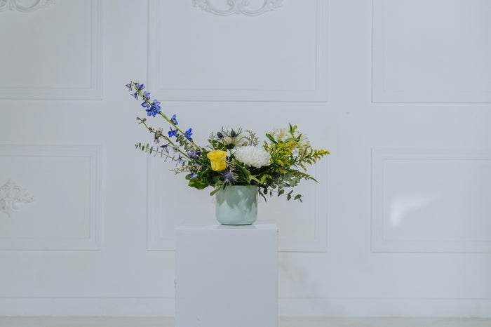 Little Sprout Arrangement