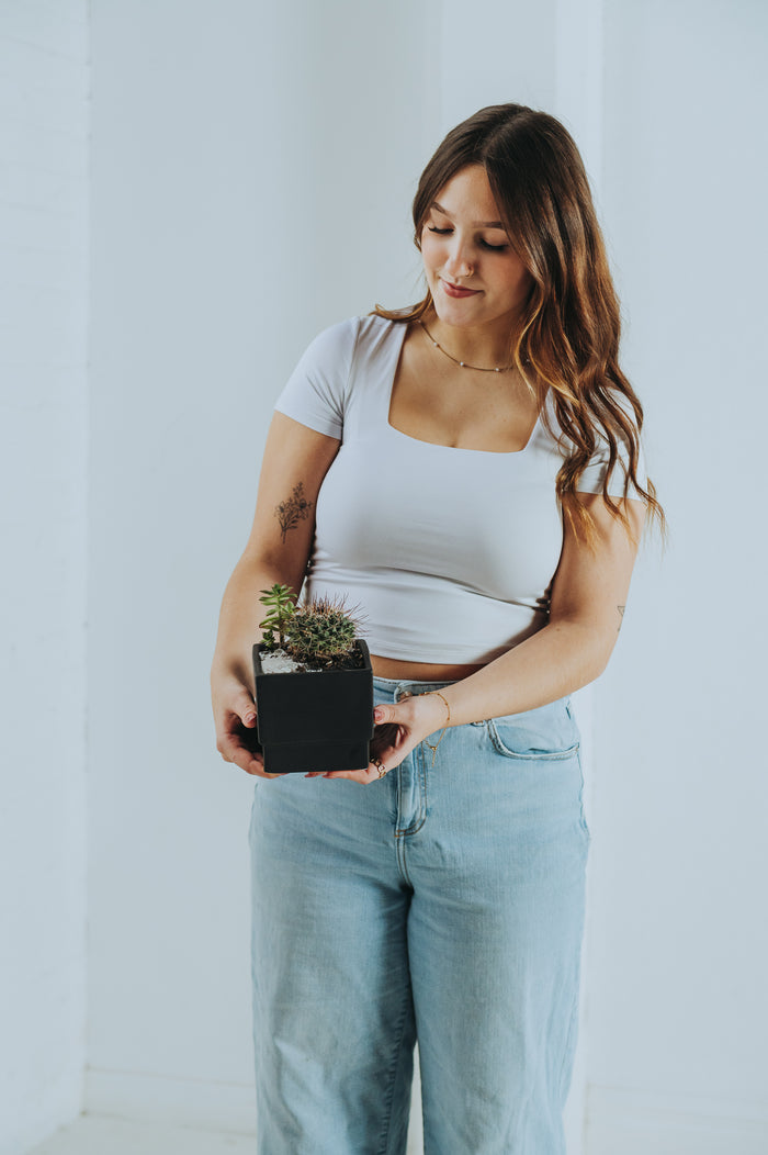 Cactus & Co Planter