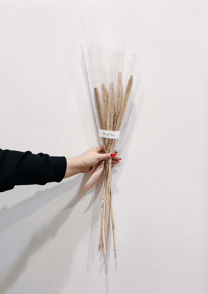 Babala Bleached Stems_Dried_Floral Fixx Design Studio_The Floral Fixx