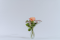 BFF Arrangement