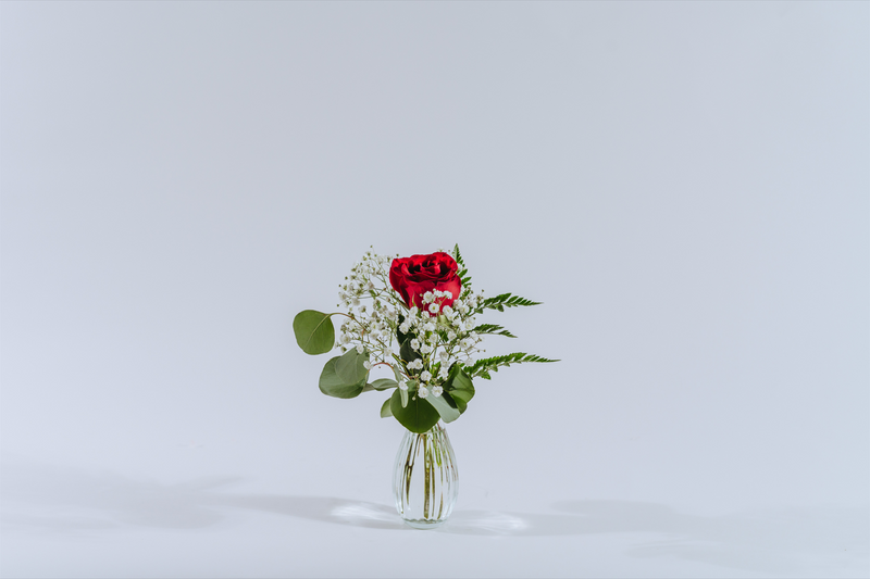 BFF Arrangement
